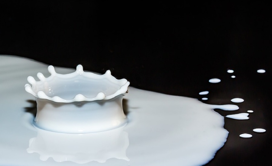Marcali tejüzemében vitt véghez nagy horderejű fejlesztést a Sole-Mizo