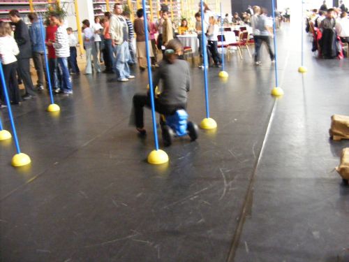 dm sport pályázat, sport, egészség
