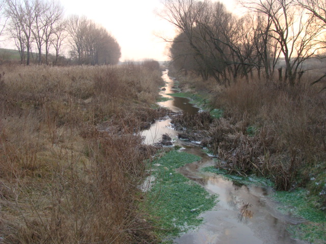 a_patak_sorsa_121_2009032575233_53.jpg