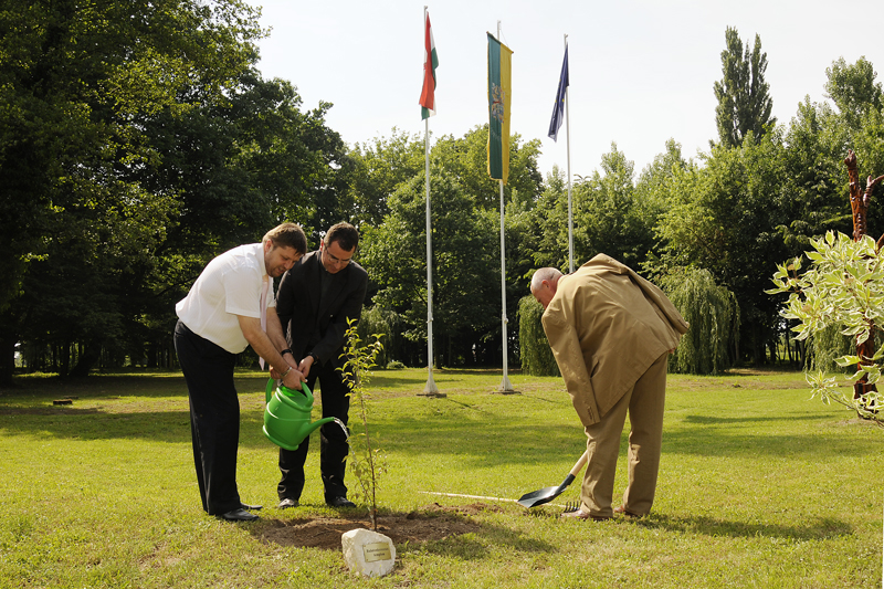 20090522_somfa_segesd_dsc9202_ps_w_675_2009060731140_309.jpg