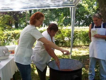 Nyárköszöntő kerti parti a patalomi Park Szociális Otthonban