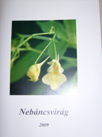 Nebáncsvirág