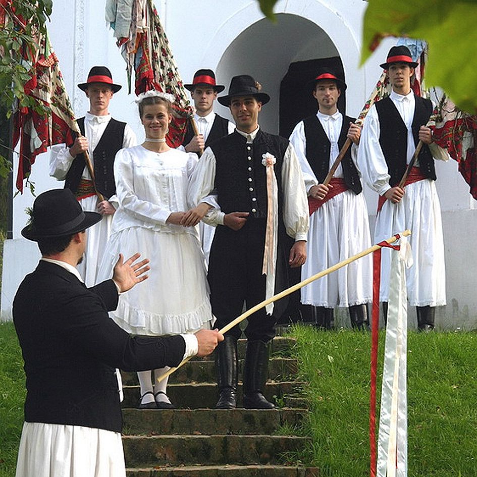 Öreg táncos nem vén táncos