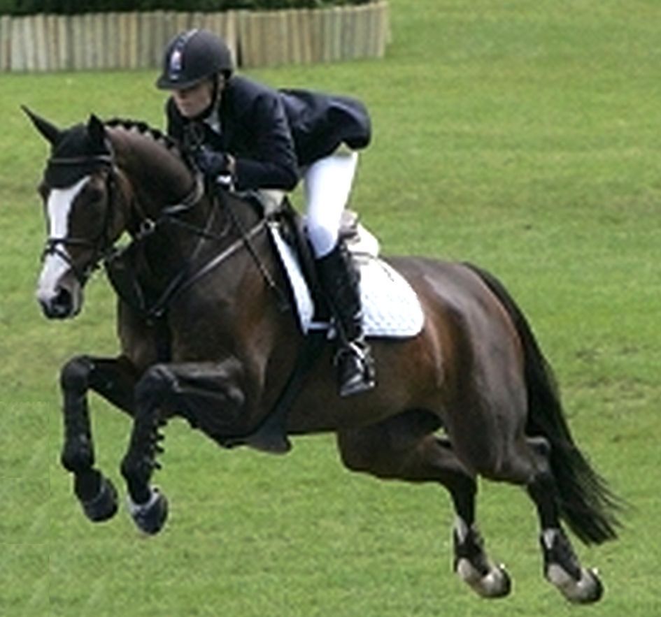 Lovon vágtatott, autót hajthatott