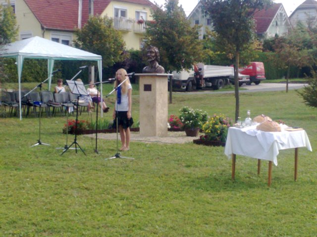 Kaposszerdahely ünnepelt 20090820_kaposszerdahely_20090820197_428_2009082125636_10.jpg