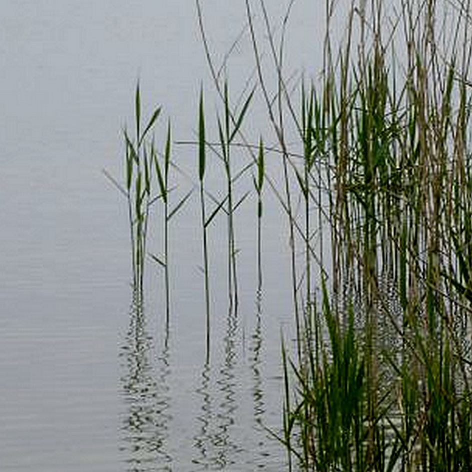 Megtalálták a holttestet