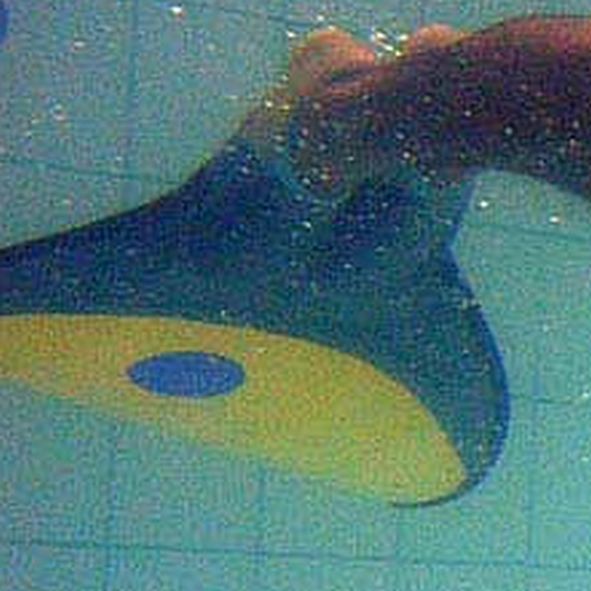 Kovács Zsófia világbajnok