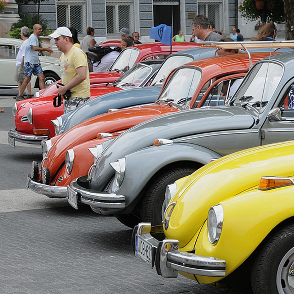 Hemzsegő bogarak Kaposban