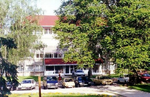 pályázat