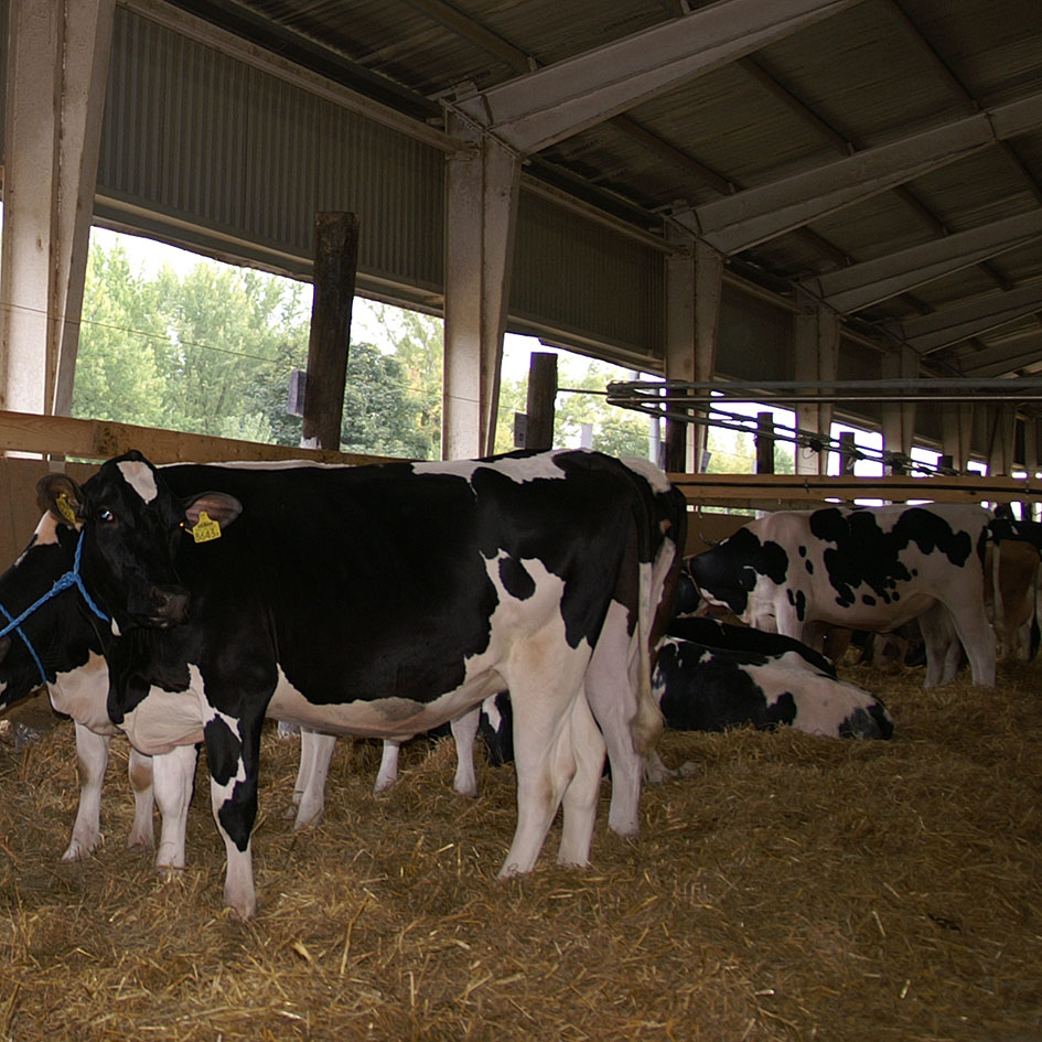 Tudományos közönségsiker