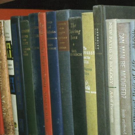 Nagyik és unokák könyvtárai