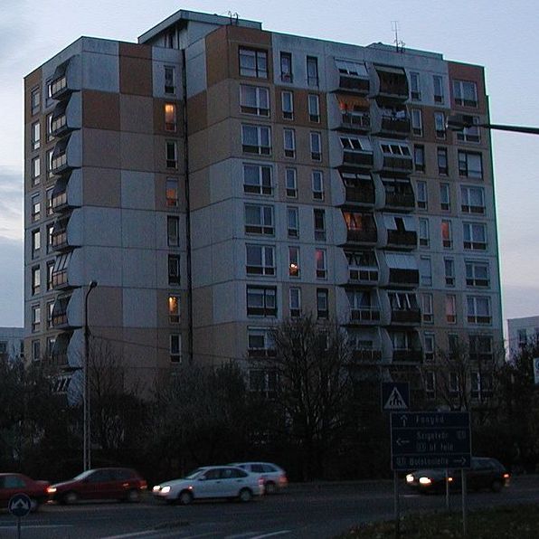 Panellakók panasza: teszetosza kormány