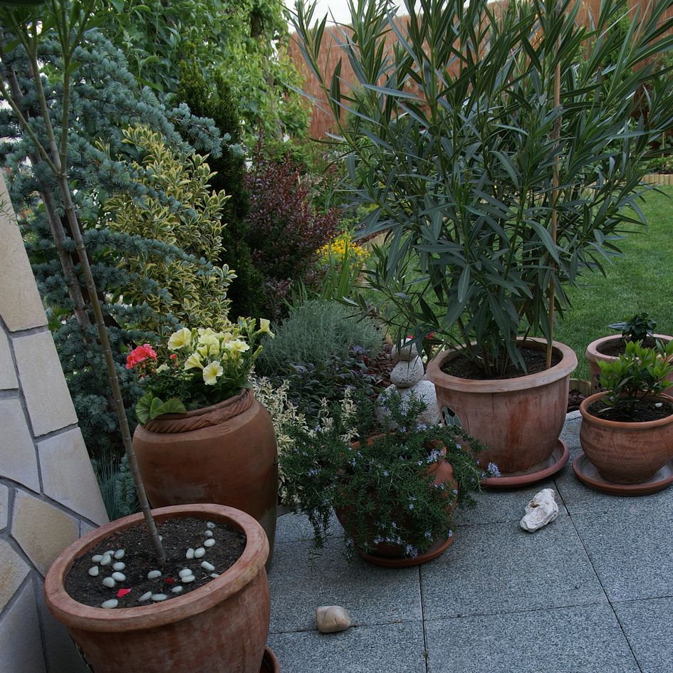 Környezetszépítési díjak Kaposváron