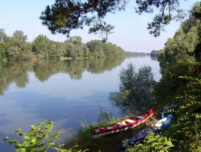 Barcsot futtatja Feigli