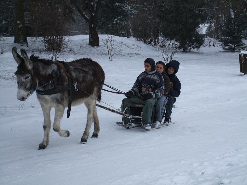 Kihasználták a telet a gyermekek a Somogy Megyei Óvoda, Általános Iskola, Speciális Szakiskola, Diákotthon és Gyermekotthonban is
