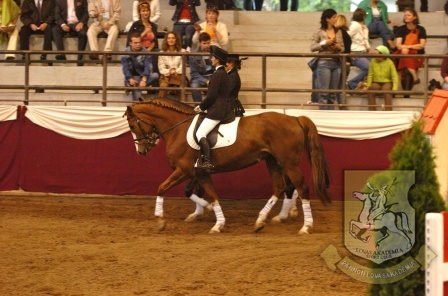 Lovasok versenyeznek a hét végén