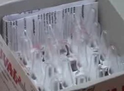 Kaposvár a megelőzést támogatja