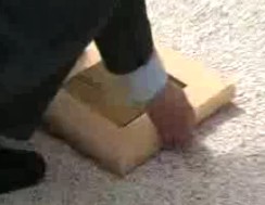 Élelmiszerbiztonsági alapkőletétel