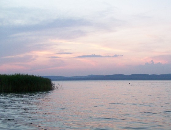 Balaton kampány Berlinben