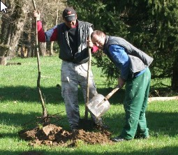 Faültetés a Somogy Megyei Óvoda, Általános Iskola, Speciális Szakiskola, Diákotthon és Gyermekotthonban