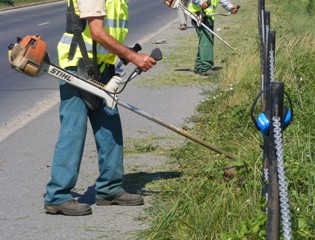 Rendkívüli kaszálást kér Kaposvár
