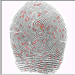 Kaposvári zsaruk nyerték a technikai versenyt