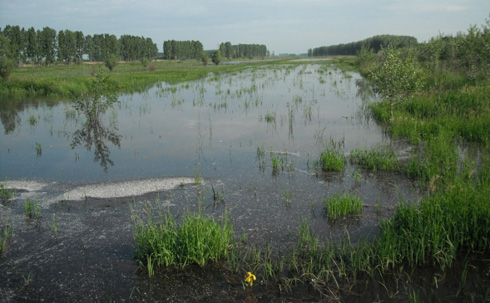Sikeres belvízvédekezés helyi összefogással