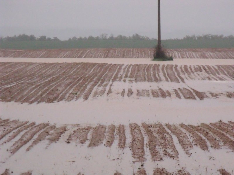 Somogyot is támogatta a kormány