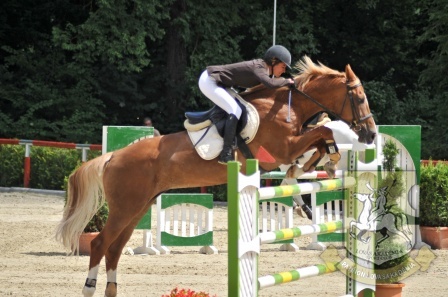 Díjlovagló világverseny Kaposváron