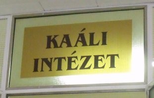 Sikeres kezdet a Kaáli Intézetben