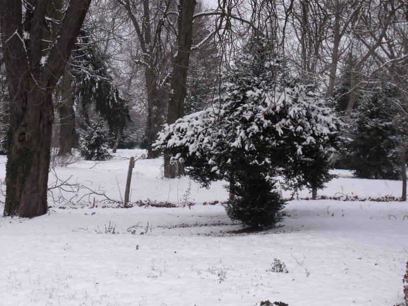 Hóval és köddel támad a tél