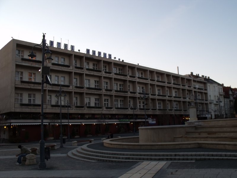 A kaposvári szociális munkásokat köszöntötték