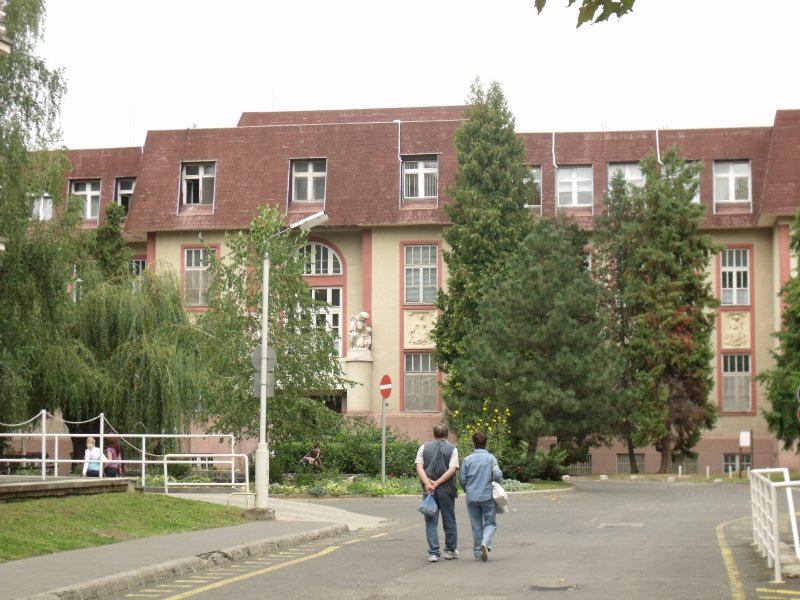 Osztályok költözésével indul a tömbösítés