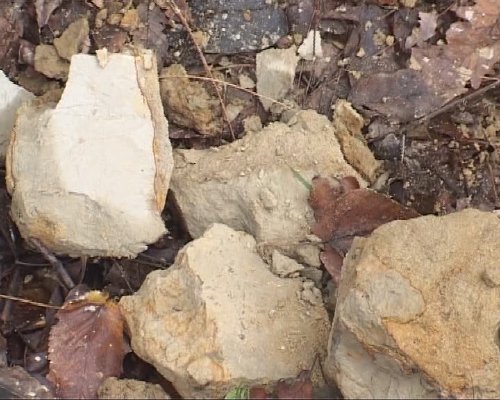 Megindult a fonyódi löszfal