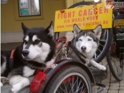 A rákbetegekért biciklizik