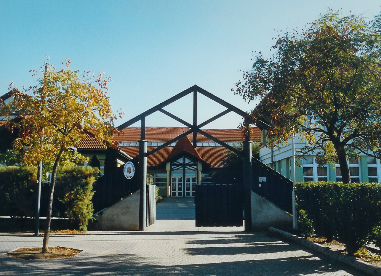 Főigazgató helyettest keres a SIOK