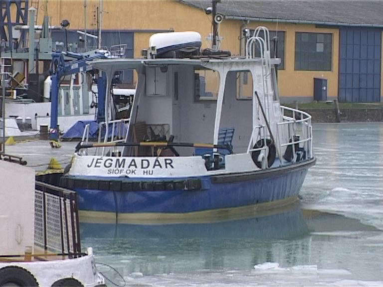 Rajtra készen a Jégmadár