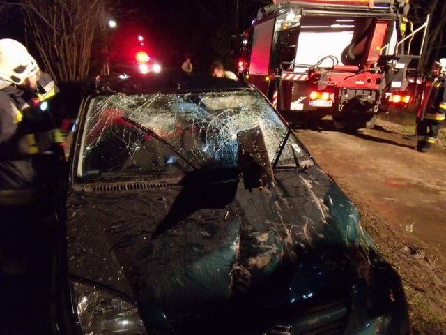 Betört, majd patakba hajtott