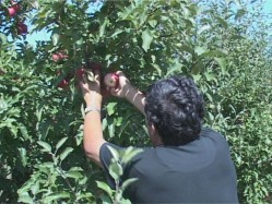 Kedvezmények a gazdálkodóknak