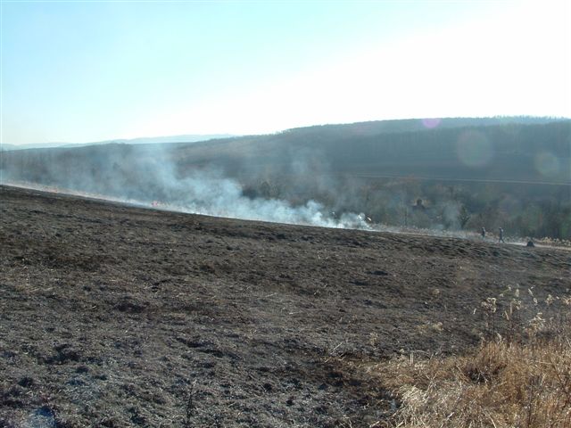Nyolc avartűz volt a megyében