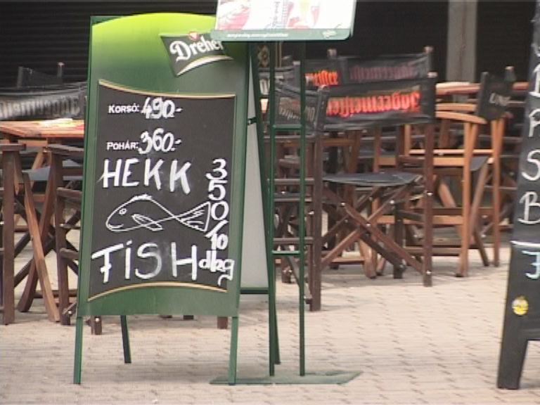 Hajózás és holding a siófoki célkeresztben