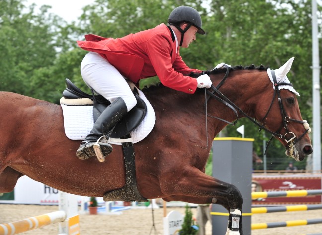 Lovasakadémián küzdenek a mesterek