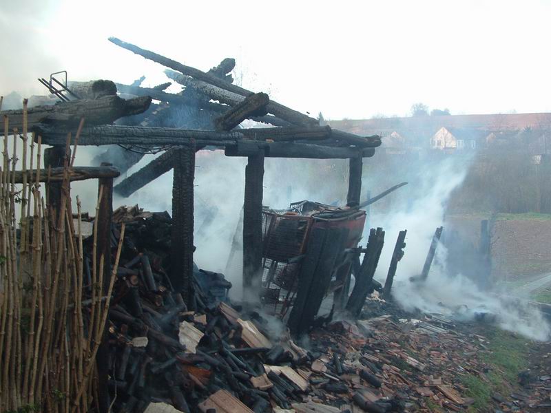 Háziállatok pusztultak el a tűzben