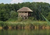 Petesmalomba kerültek a megmentett állatok