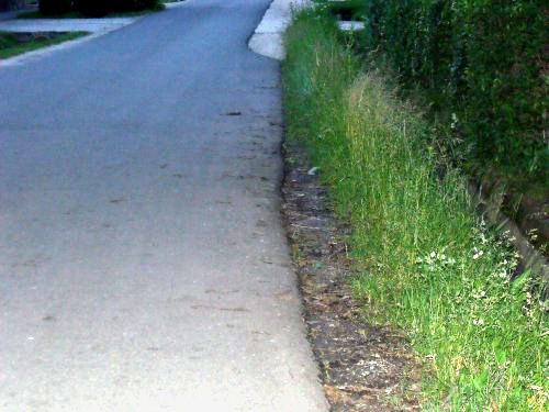 Közösen teszik rendbe városukat