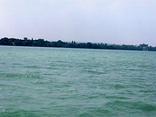 Gondot okoz a balatoni halpusztulás