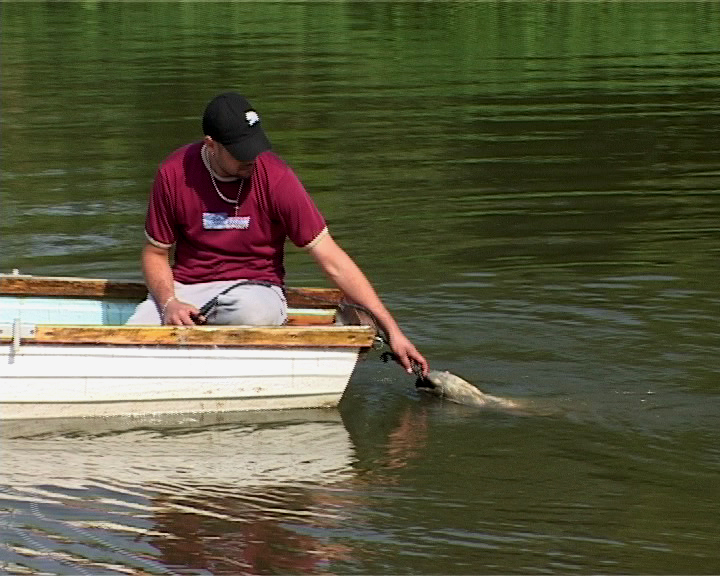 Kapitális desedai rekord