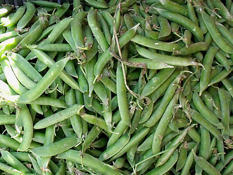 Helyi termelőknek nyílt piac Bárdudvarnokon