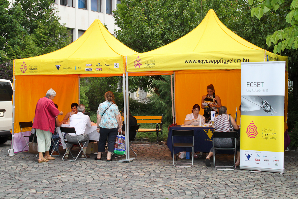 Csapó Virág visszatér az ECSET-re 