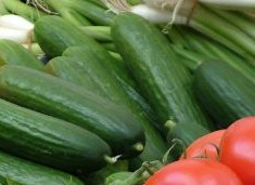 Biztonságos a magyar zöldség